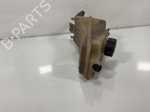 Expansion tank PEUGEOT PARTNER MPV (5_, G_)  | BP19995078C120