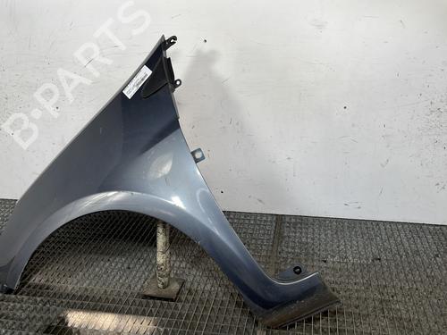 Left front fenders RENAULT CLIO III (BR0/1, CR0/1) 1.5 dCi (C/BR0G, C/BR1G) | BP28279472C41 