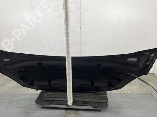 Hood CITROËN DS3 (SA_) 1.4 HDi 70 (SA8HP4) | BP28282529C1 