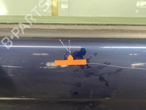 Left rear door CITROËN XSARA PICASSO (N68) 2.0 HDi | BP21954295C4 