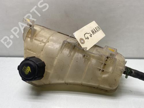 Used Expansion tank RENAULT KANGOO / GRAND KANGOO II (KW0/1_) 1.5 dCi 90 (KW05, KW08, KW0G, KW11) (90 hp) 26743154
