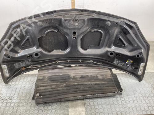 Hood RENAULT TWINGO II (CN0_) 1.2 16V (CN0K, CN0V, CN0A) | BP24420439C1 