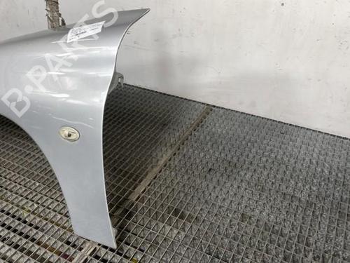 Left front fenders PEUGEOT 206 Hatchback (2A/C) 1.4 HDi eco 70 | BP28314078C41 