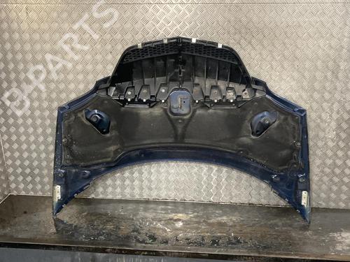 Hood LANCIA PHEDRA (179_) 2.2 JTD (179AXC1A) | BP20011754C1 