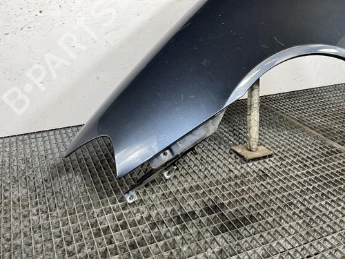 Left front fenders FIAT PUNTO (188_) 1.2 60 (188.030, .050, .130, .150, .230, .250) | BP30059796C41