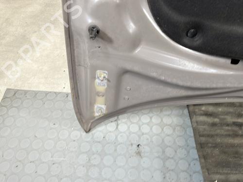 Hood CITROËN C4 CACTUS 1.2 VTi 82 | BP29413571C1 