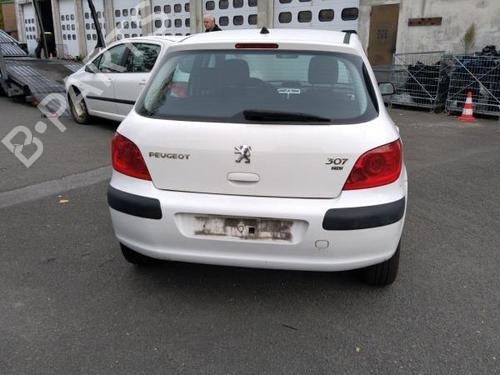Left rear door PEUGEOT 307 (3A/C) 1.6 HDi | BP20009279C4 