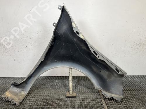 Left front fenders RENAULT MODUS / GRAND MODUS (F/JP0_) 1.5 dCi (JP0G, JP0H) | BP30169013C41 