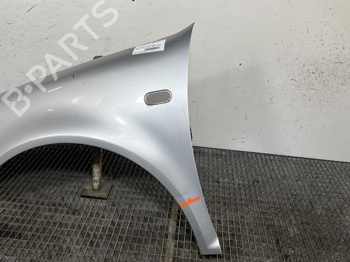 Left front fenders VW GOLF IV (1J1) 1.9 TDI | BP29935696C41
