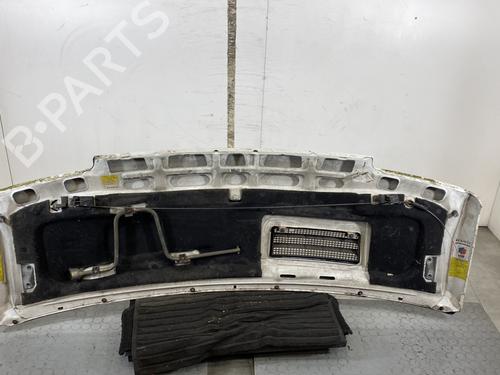 Hood RENAULT TRAFIC Van (T_, P_, V_) 2.1 D | BP22179991C1