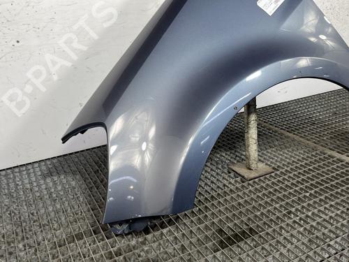 Left front fenders RENAULT CLIO III (BR0/1, CR0/1) 1.6 16V (BR09, BR0T, CR09, CR0T) | BP29114918C41 