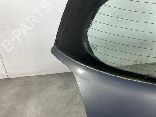 Tailgate RENAULT MEGANE II (BM0/1_, CM0/1_)  | BP21960660C6 