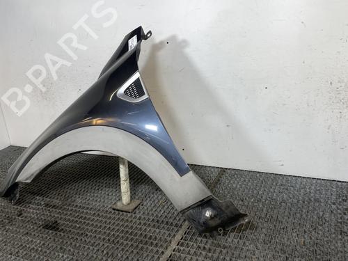 Left front fenders CHEVROLET CAPTIVA (C100, C140) 2.0 D 4WD | BP24220627C41 