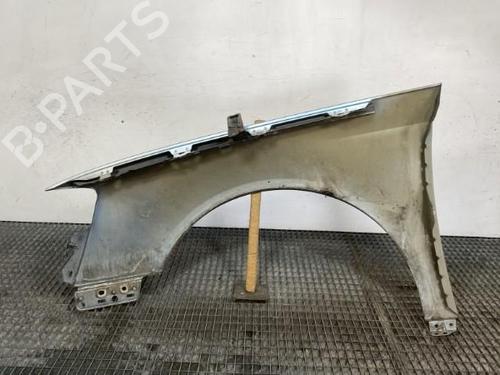 Right front fenders VW PASSAT B6 (3C2) 2.0 TDI 16V | BP21962814C42 