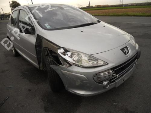 Rear right lock PEUGEOT 307 (3A/C) 1.6 HDi | BP20019252C99 