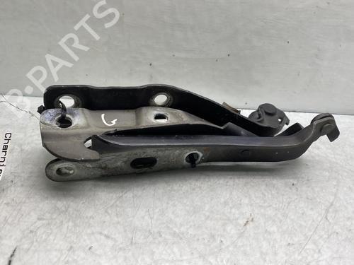 Hinge/Door check strap JAGUAR S-TYPE II (X200) 3.0 V6 | BP19978504C146 