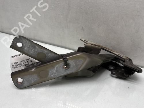 Used Hinge/Door check strap CITROËN C4 Picasso I MPV (UD_) 1.6 HDi 110 (112 hp) 27632832