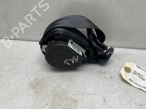 Used Rear right belt tensioner PEUGEOT 207 (WA_, WC_) 1.6 HDi (90 hp) 19955237