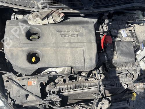 Rear bumper FORD FIESTA VI (CB1, CCN) 1.4 TDCi | BP29841564C8 