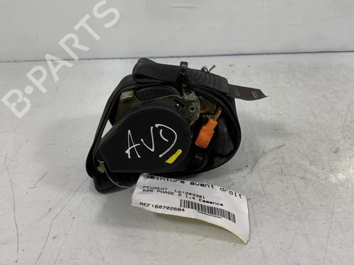 Used Front right belt tensioner PEUGEOT 206 Hatchback (2A/C) [1998-2012]  20025624
