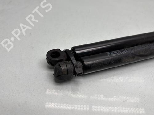 Tailgate lift support RENAULT LAGUNA III (BT0/1) 2.0 dCi (BT01, BT08, BT09, BT0E, BT0K, BT12, BT1C, BT1D,... | BP29286902C138 