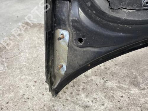 Used Hood PEUGEOT 206+ (2L_, 2M_) 1.1 (60 hp) 19962774