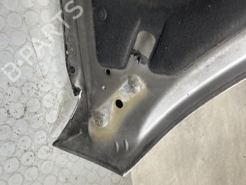 Hood CITROËN C4 Grand Picasso I (UA_) 1.6 HDi | BP21785071C1