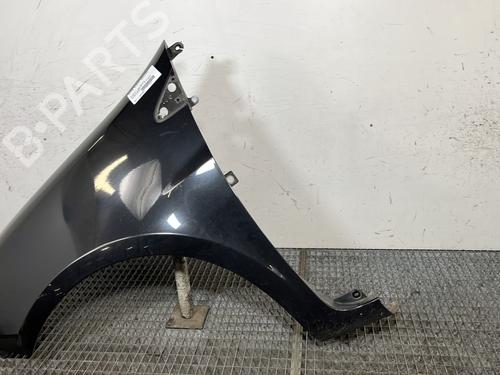 Left front fenders RENAULT CLIO III (BR0/1, CR0/1) 1.5 dCi (C/BR0G, C/BR1G) | BP30148370C41 