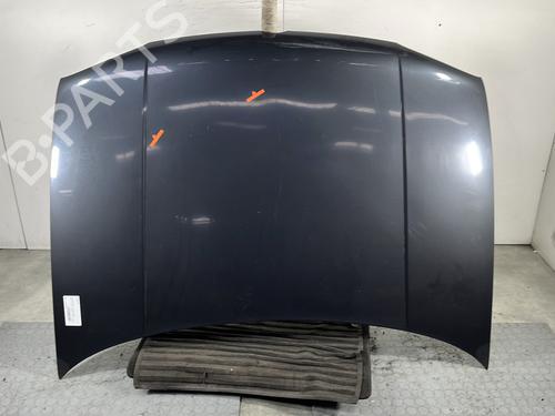Used Hood VW GOLF IV (1J1) 1.9 TDI (90 hp) 32062571