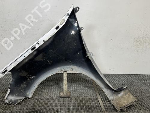 Right front fenders RENAULT CLIO III (BR0/1, CR0/1) 1.5 dCi (C/BR0G, C/BR1G) | BP29498834C42 
