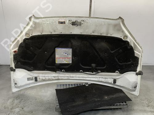 Hood FIAT DOBLO Box Body/MPV (223_) 1.3 D Multijet | BP19963927C1 