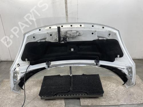Used Hood RENAULT SCÉNIC III (JZ0/1_) 1.5 dCi (110 hp) 19971323