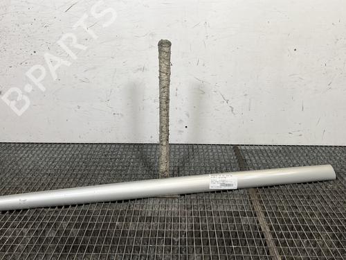 Used Door moulding trim PEUGEOT 206 CC (2D) 1.6 HDi 110 (109 hp) 31213231