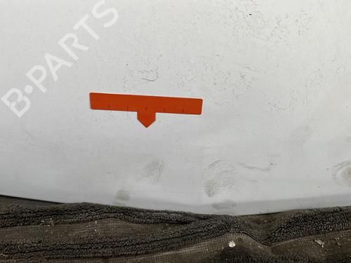 Hood RENAULT KANGOO / GRAND KANGOO II (KW0/1_) 1.5 dCi 90 (KW05, KW08, KW0G, KW11) | BP29329286C1 