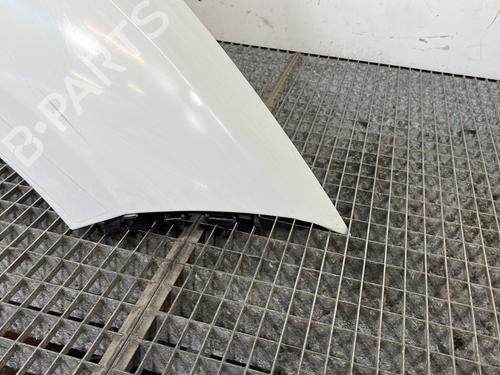 Right front fenders RENAULT MEGANE III Grandtour (KZ0/1) 1.5 dCi (KZ09, KZ0D, KZ1G, KZ29, KZ14, KZ1W, KZ10, KZ1F,... | BP28281636C42 