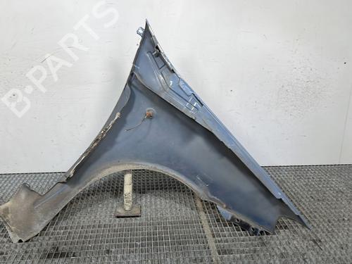 Left front fenders FIAT PUNTO (188_) 1.2 60 (188.030, .050, .130, .150, .230, .250) | BP26732942C41 