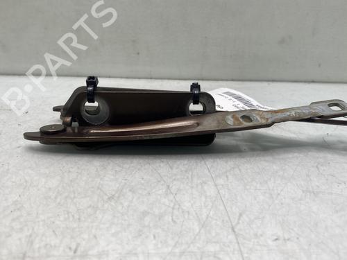 Hinge/Door check strap DACIA DUSTER (HS_) 1.5 dCi | BP32190387C146