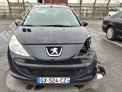Fuse box PEUGEOT 206+ (2L_, 2M_) 1.1 | BP30941146E1 - Image 23
