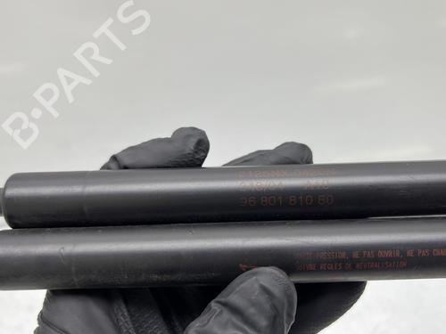 Gassdemper Bakluke CITROËN C3 I (FC_, FN_) 1.4 HDi | BP25652625C138 