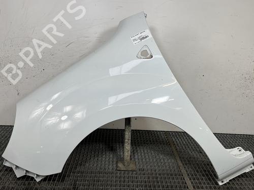 Used Left front fenders RENAULT KANGOO / GRAND KANGOO II (KW0/1_) 1.5 dCi 90 (KW05, KW08, KW0G, KW11) (90 hp) 29352846