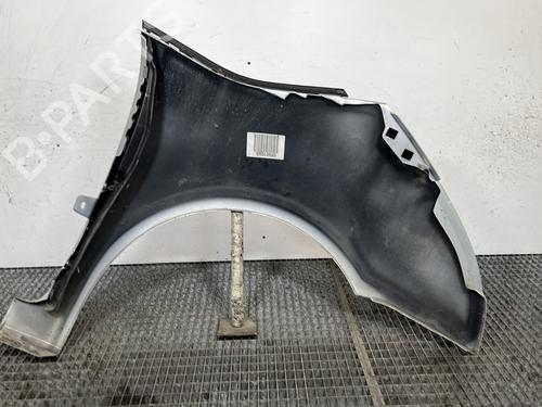 Left front fenders CITROËN C4 Picasso I MPV (UD_) 1.6 HDi | BP29329278C41 