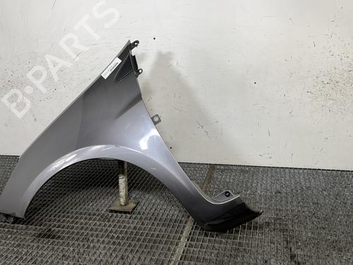 Left front fenders RENAULT CLIO III (BR0/1, CR0/1) 1.5 dCi (C/BR0G, C/BR1G) | BP30148397C41