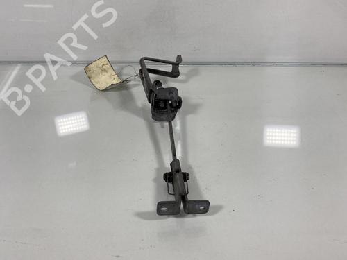 Hinge/Door check strap RENAULT KANGOO Express (FW0/1_)  | BP20033940C146 