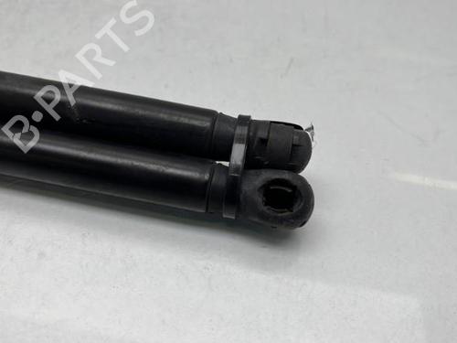 Hood lift support BMW X5 (E70)  | BP19950511C139