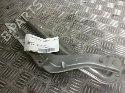 Used Hinge/Door check strap PEUGEOT 407 (6D_) 2.0 HDi 135 (6DRHRH, 6DRHRE, 6DRHRG, 6DRHRJ) (136 hp) 20035684