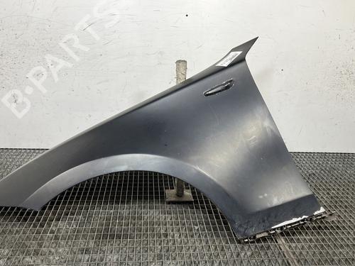 Used Left front fenders BMW 1 (E87) 118 d (122 hp) 29453217