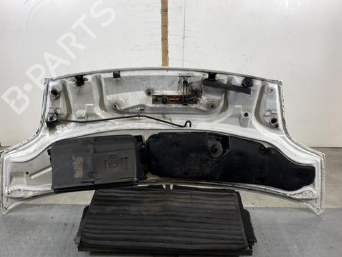 Hood OPEL VIVARO A Van (X83) 1.9 DTI (F7) | BP22779310C1