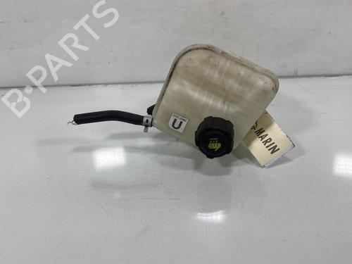 Used Expansion tank NISSAN QASHQAI / QASHQAI +2 I (J10, NJ10, JJ10E) 1.6 (114 hp) 19953693