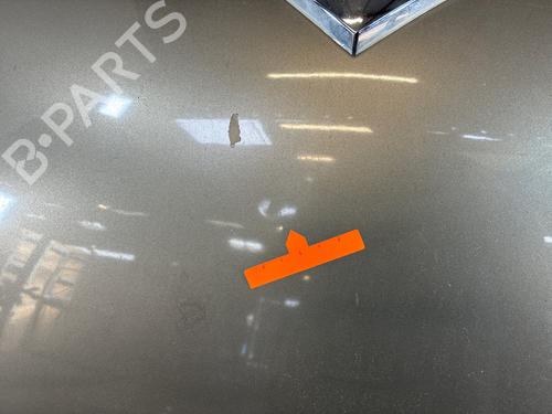 Used Hood Hood 38598018 38598018
