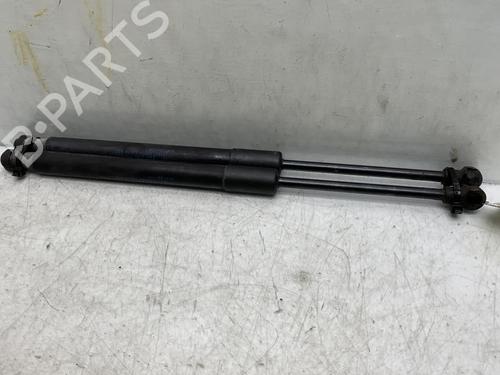 Hood lift support RENAULT TALISMAN (LP_) 1.5 dCi 110 (LPA3) | BP19964575C139 